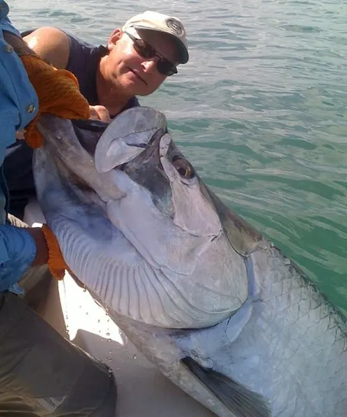 Tarpon caught with Capt. Fred